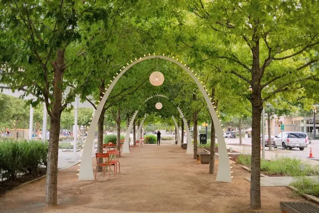a walkway with trees and benches